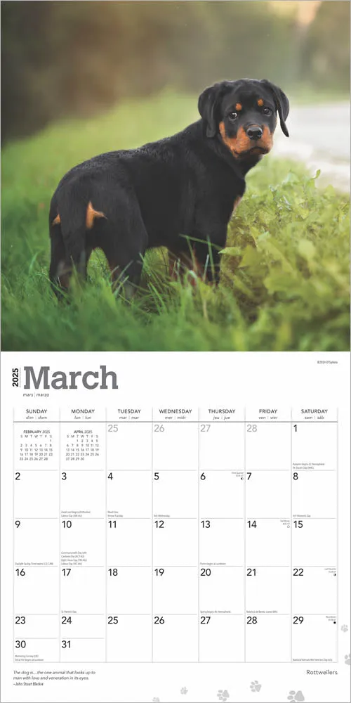 2025 Rottweilers Wall Calendar