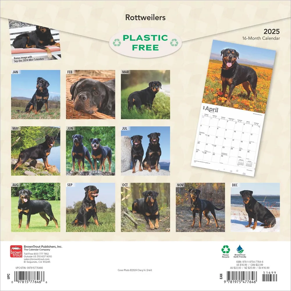 2025 Rottweilers Wall Calendar