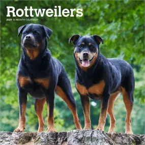 2025 Rottweilers Wall Calendar