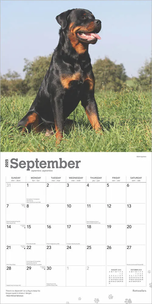 2025 Rottweilers Wall Calendar