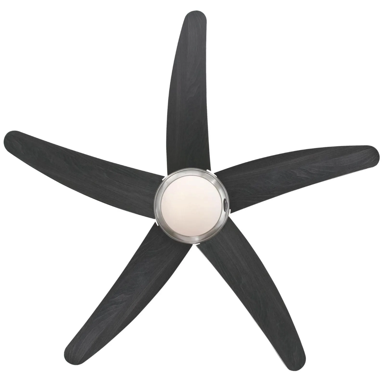 Bendan Wengue Ceiling Fan by Westinghouse