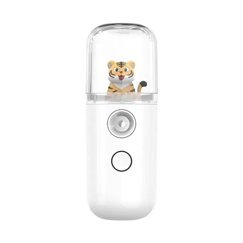 Cute Chargeable Facial Steamer Spray