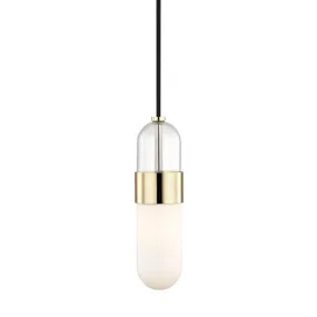 Emilia 1-Light Pendant