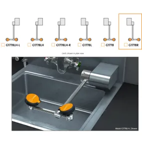 Guardian G1778R Eye/Face Wash, Wall Mounted Swing-Down