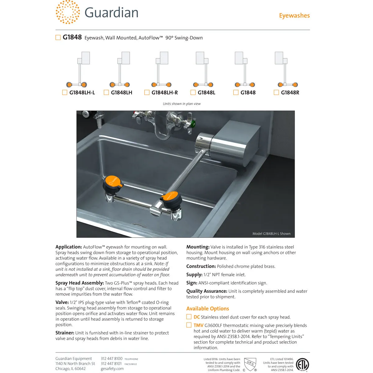 Guardian G1848 Eyewash Station, Wall Mounted, Swing-Down