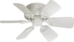 Medallion Patio Ceiling Fan