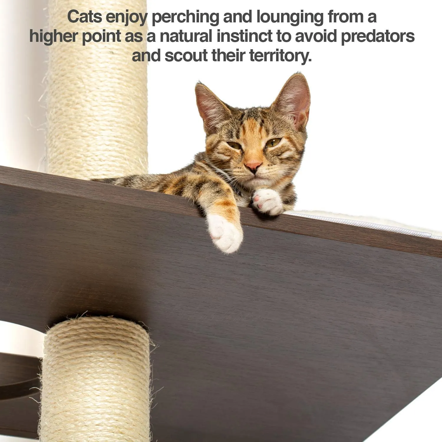 PetFusion Ultimate Cat Climber