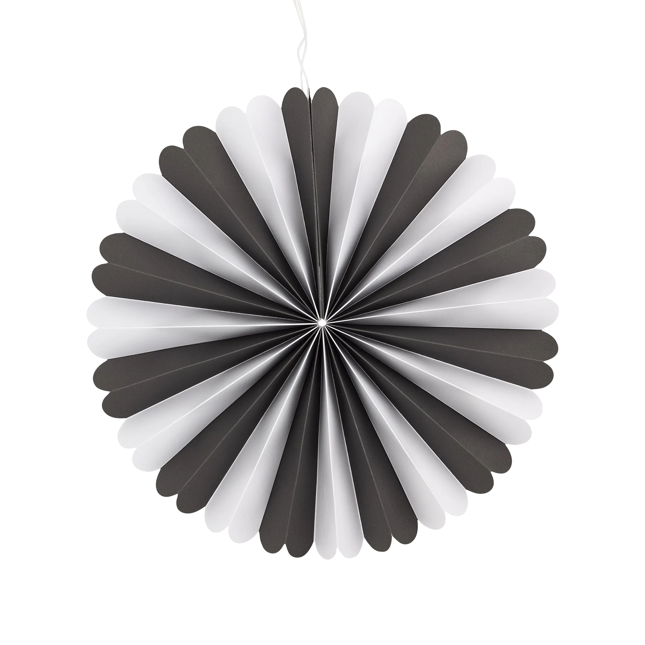 PLFN02 - Black and White Party Fan Set