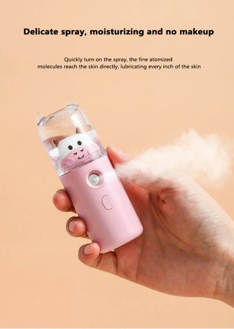 USB Cartoon Animal Rechargeable Mini Face Steamer