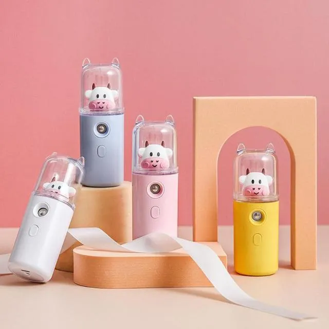 USB Cartoon Animal Rechargeable Mini Face Steamer